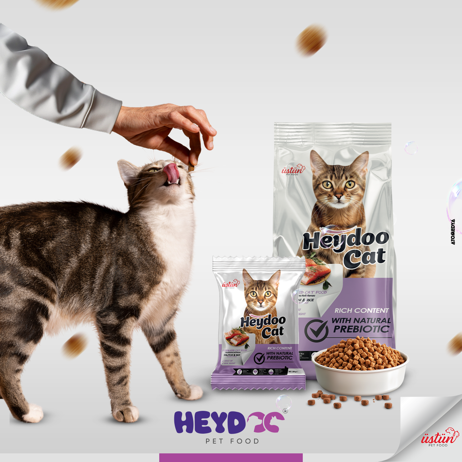 Sterilized cat 