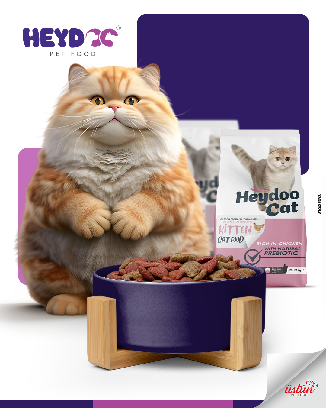 Kitten dry food 